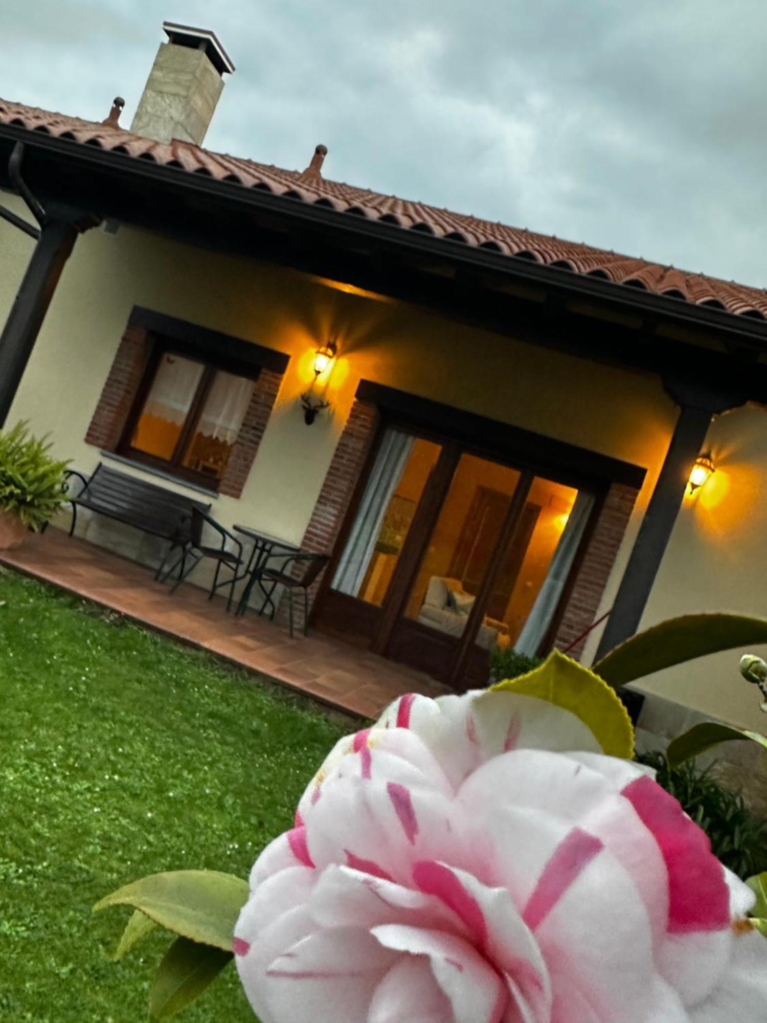 Apartamentos Rurales La Carbayala Oviñana Exteriör bild